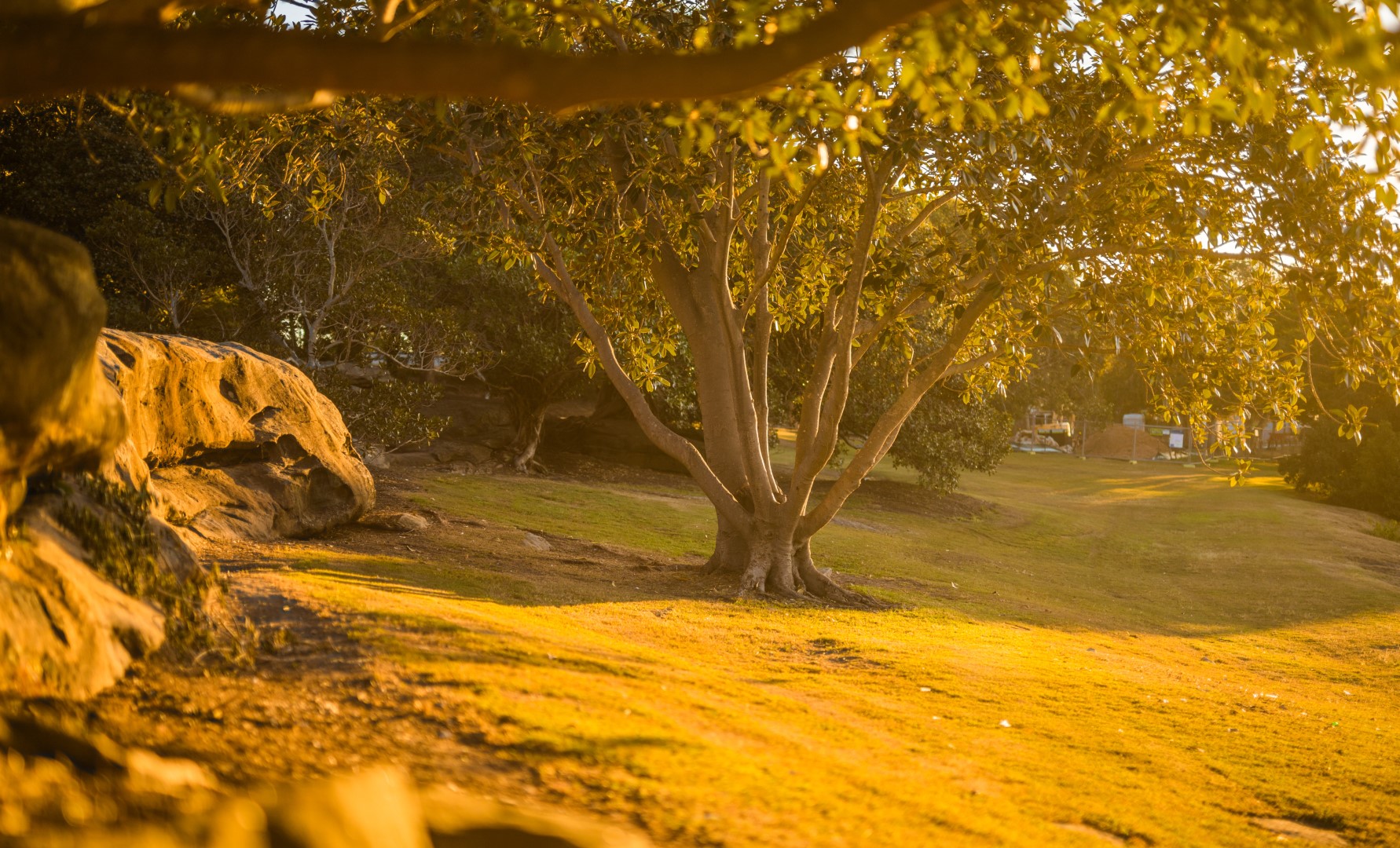 phillips-st-cabarita-infrastructure-upgrades-collaborate-canada-bay