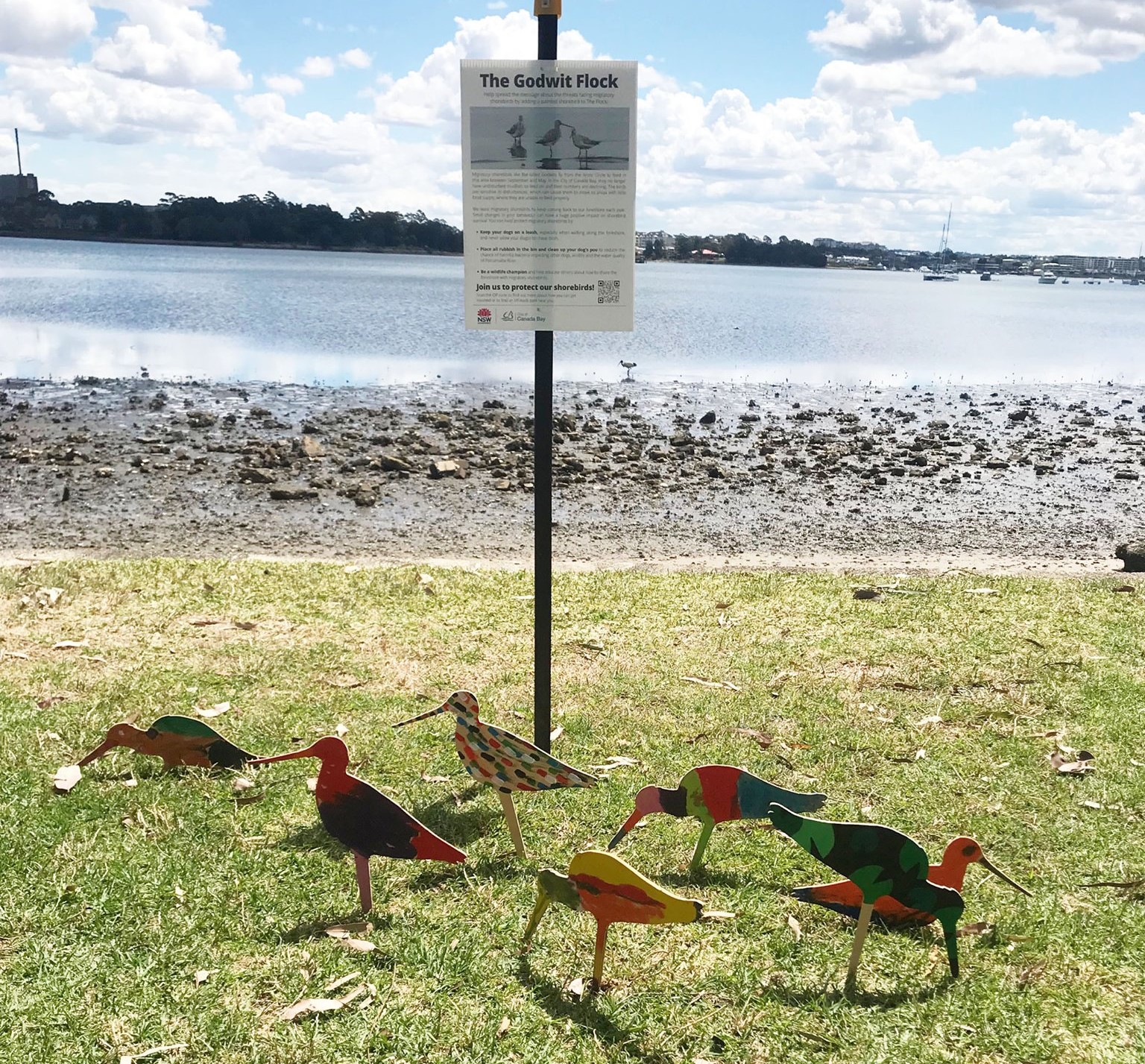 The flock
